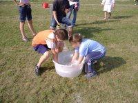 2006 festamaggio (79)